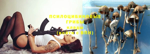 герыч Алексин