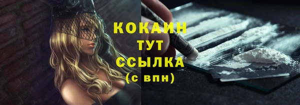 spice Алзамай