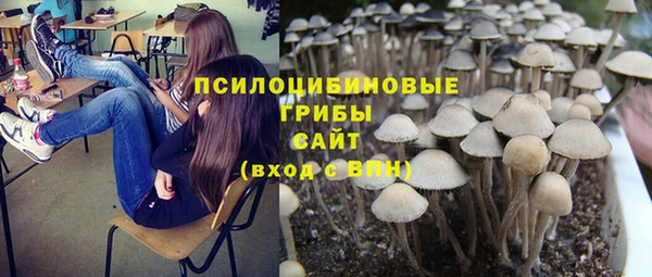 дурь Алексеевка