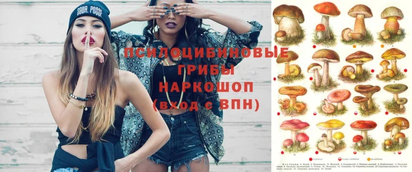дурь Алексеевка