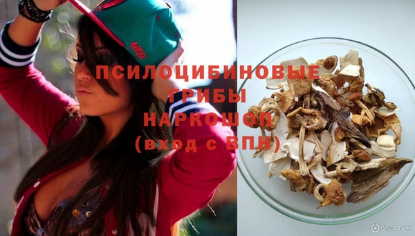 spice Алзамай