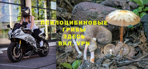 сатива Няндома