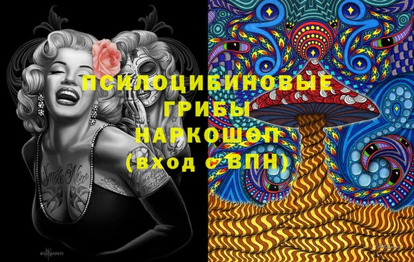 герыч Алексин