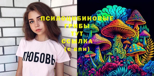 spice Алзамай